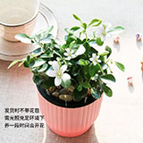 悠居园林