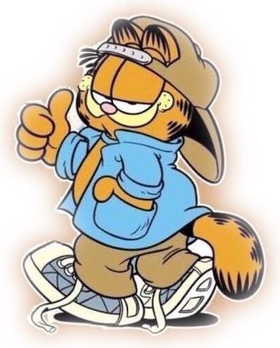加菲猫土耳其国际代购