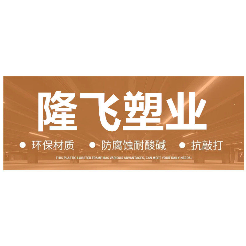 江苏隆飞塑业厂家店的LOGO