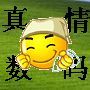 真情数码手机城