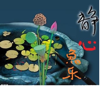 静心鱼乐