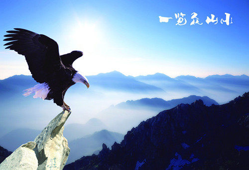 户外飞鹰的LOGO