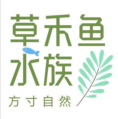 草禾鱼水族
