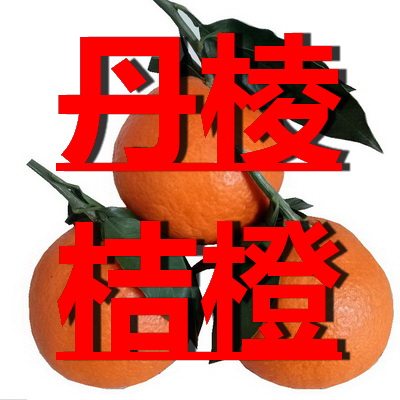 丹棱桔橙一四季鲜果的LOGO