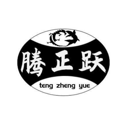 东莞腾正跃塑胶制品有限公司的LOGO