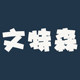 文特森旗舰店