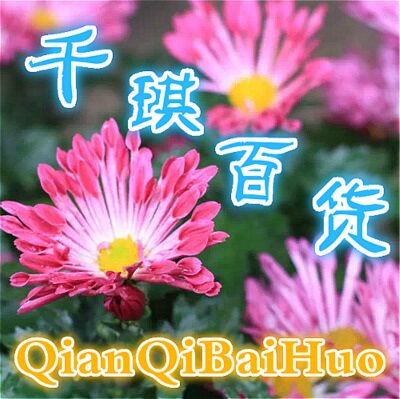 千琪百货
