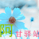 阿甘驿站