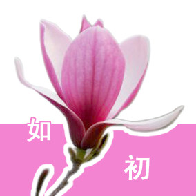 如初品牌内衣店