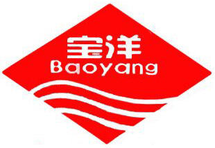宝洋旗舰店的LOGO
