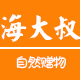 海大叔的海鸭蛋店