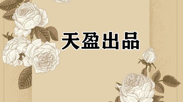 故城天盈包装