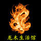 龙木生活馆