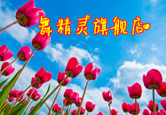 舞精灵表演服总厂