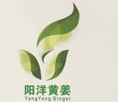 罗平阳洋黄姜有限公司