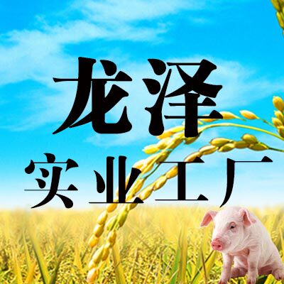 龙泽实业工厂店