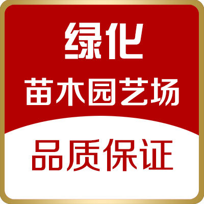 绿化苗木园艺场的LOGO