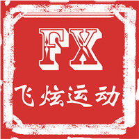 飞炫运动2019的LOGO