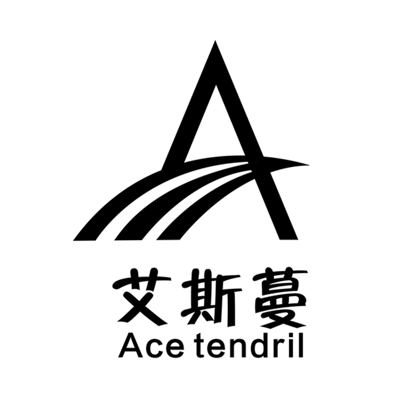 艾斯蔓服饰的LOGO