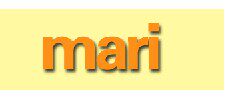 【车流】外贸汽车用品的LOGO