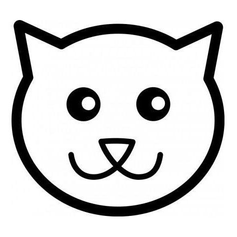 坏猫