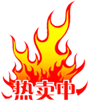 丰瑞头盔配件