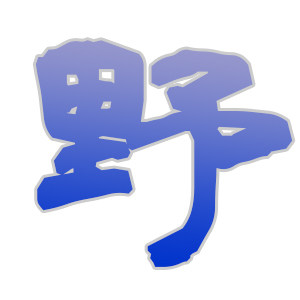 差一步野路