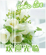 新颖批发商城