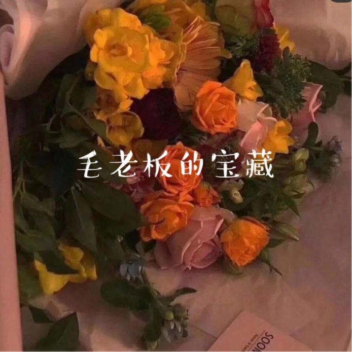 毛老板的宝藏