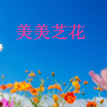 美美芝花