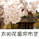 太阳花窗帘布艺