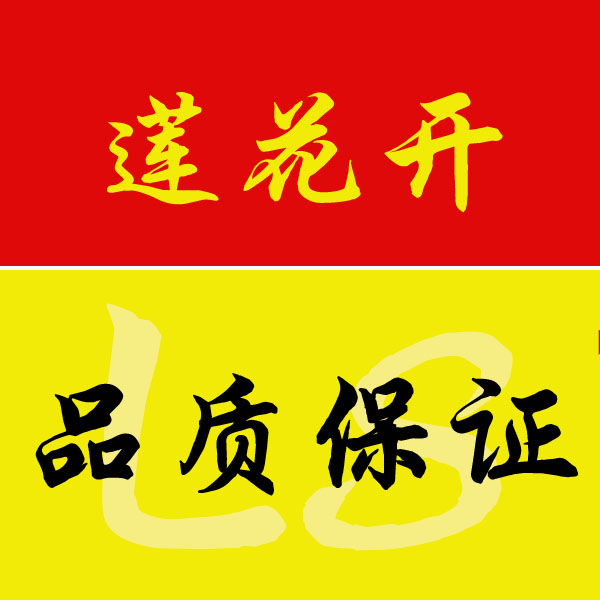 恋上莲花开