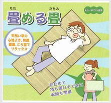 定制榻榻米椰棕芯榻榻米定做塌塌米草垫子踏踏米