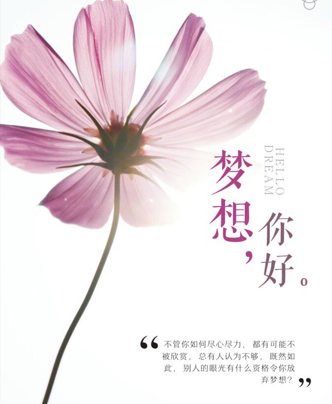 五月花水杯家居馆
