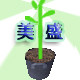 中山市美盛植树袋厂