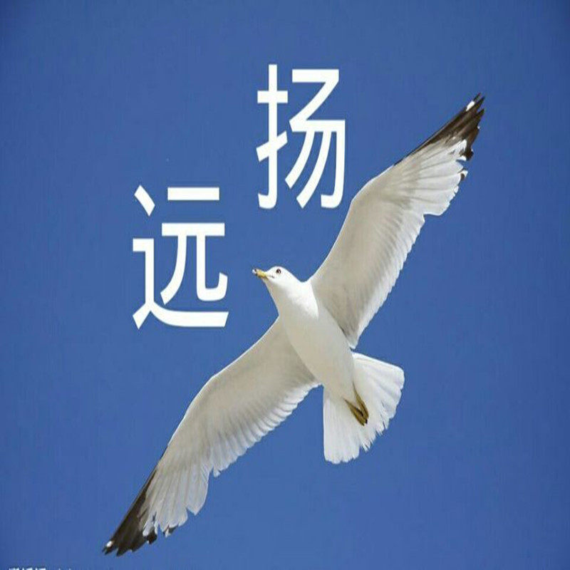 远扬生物科技