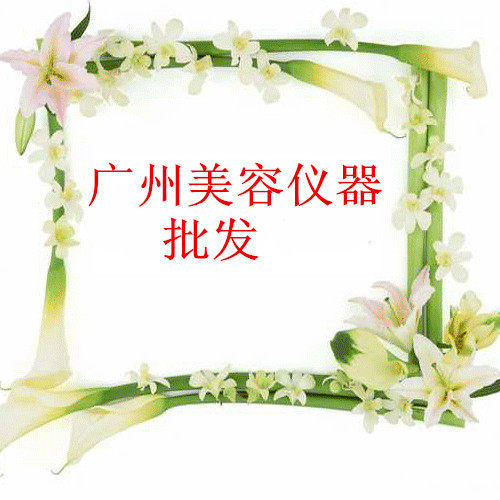 广州创新美容养生仪器
