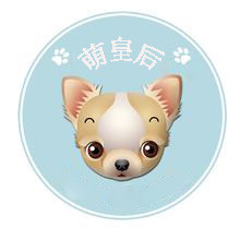 绵绵球