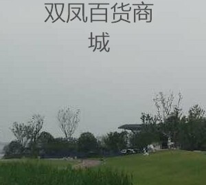 双凤百货商城
