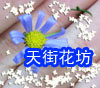 天街花坊