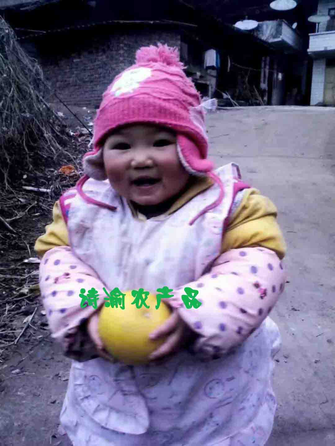 重庆梁平诗渝土特产
