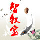 智敷宝的LOGO