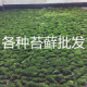 微生活  奋斗