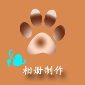 潘多啦数码的LOGO