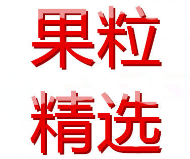 果粒精选的LOGO