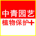 中青园艺