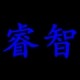 睿智教学仪器的LOGO