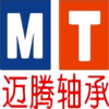 MT迈腾轴承