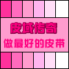 皮域传奇