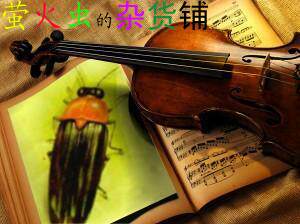 萤火虫的杂货铺的LOGO